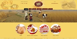 Осуществленные проекты